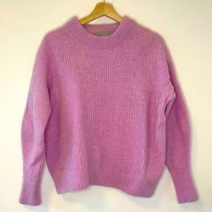 Everlane Alpaca pull over sweater